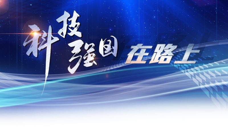 软件测试与开发：两种不同视角下的IT旅程